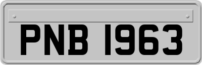 PNB1963