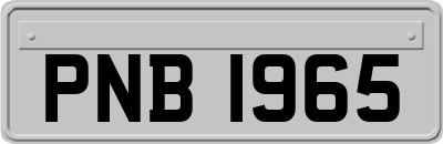 PNB1965
