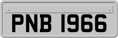 PNB1966