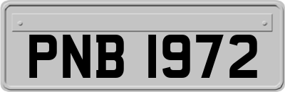 PNB1972
