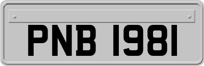 PNB1981