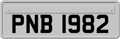 PNB1982