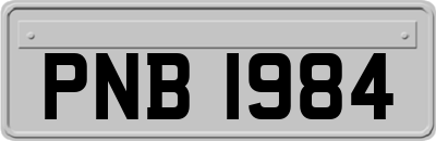 PNB1984