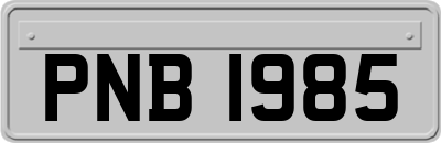 PNB1985