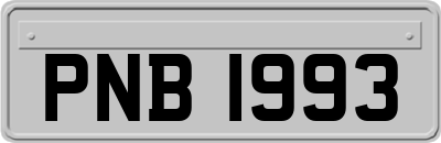 PNB1993