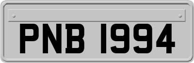 PNB1994