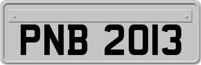 PNB2013