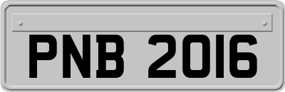 PNB2016