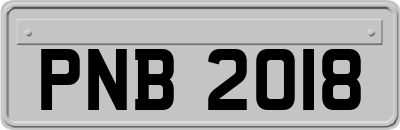 PNB2018