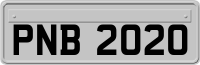 PNB2020