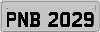 PNB2029