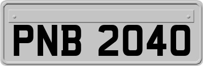 PNB2040