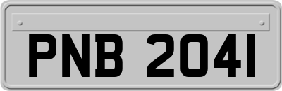 PNB2041