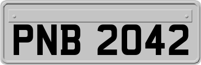 PNB2042
