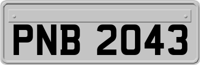 PNB2043