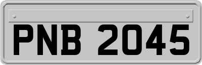 PNB2045