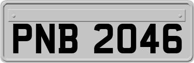 PNB2046