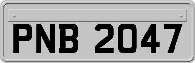 PNB2047
