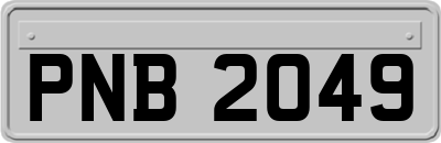 PNB2049
