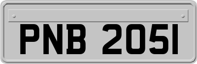 PNB2051
