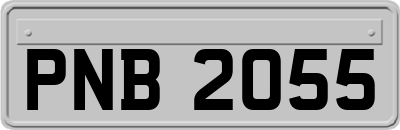 PNB2055