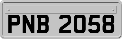 PNB2058