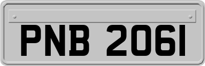 PNB2061