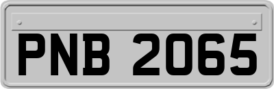 PNB2065