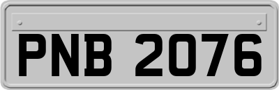 PNB2076