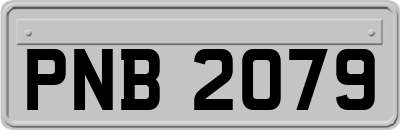 PNB2079