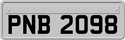 PNB2098