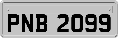 PNB2099