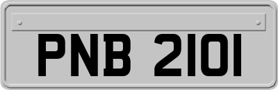 PNB2101