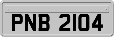 PNB2104