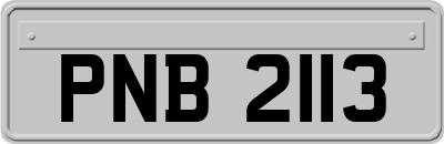PNB2113