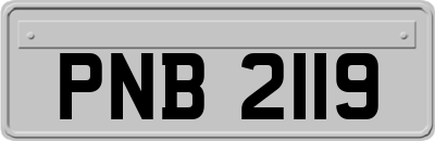 PNB2119