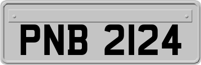 PNB2124