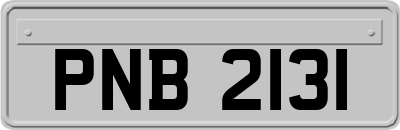 PNB2131
