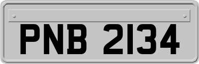 PNB2134