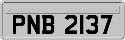 PNB2137