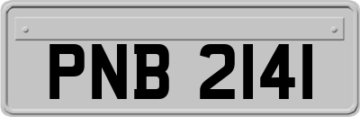 PNB2141