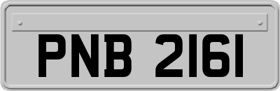 PNB2161