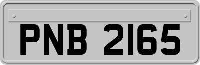 PNB2165