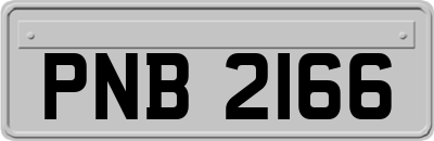 PNB2166