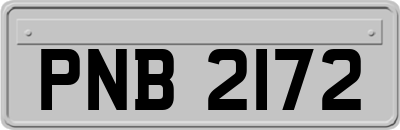 PNB2172