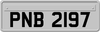 PNB2197
