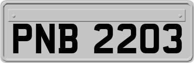 PNB2203