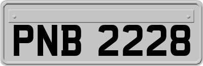 PNB2228