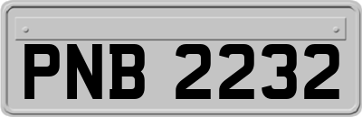PNB2232
