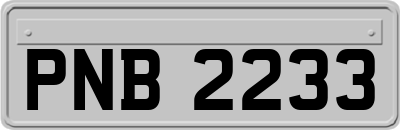 PNB2233